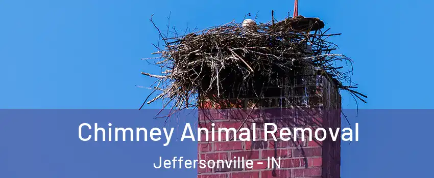 Chimney Animal Removal Jeffersonville - IN