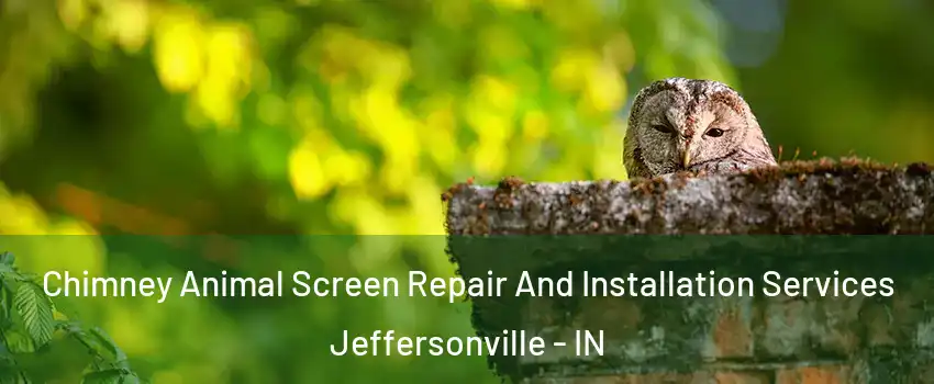  Chimney Animal Screen Repair And Installation Services Jeffersonville - IN