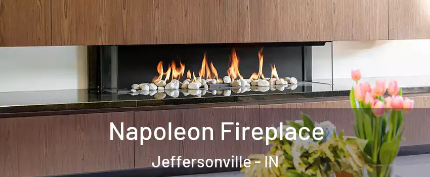  Napoleon Fireplace Jeffersonville - IN